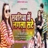 Sautiniya Me Lagala Sate (Shilpi Raj)