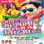 Aawa Ae Amrapali Holi Me Nirahua Dali (Dinesh Lal Nirahua, Amrapali Dubey)