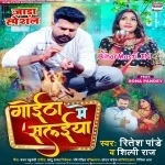 Goitha Me Salaiya (Ritesh Pandey, Shilpi Raj)