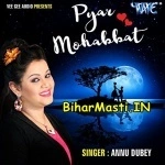 Pyar Mohabbat (Anu Dubey)