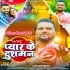 Pyar Ke Dushman (Gunjan Singh)