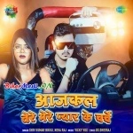 Aaj Kal Tere Mere Pyar Ke Charche (Shiv Kumar Bikku, Neha Raj)