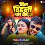 Dil Dihani Tora Didi Ke (Deepak Dildar, Shivani Singh)