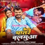 Patre Balamuwa (Pramod Premi Yadav)
