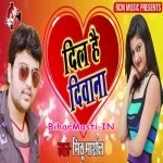 Dil Hai Diwana (Mithu Marshal)