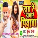 Haye Re Hamar Piyawa (Bullet Raja)