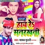 Haye Re Manrakhani (Madhav Murari)