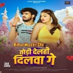Todi Delhi Dilwa Ge (Aashish Yadav)