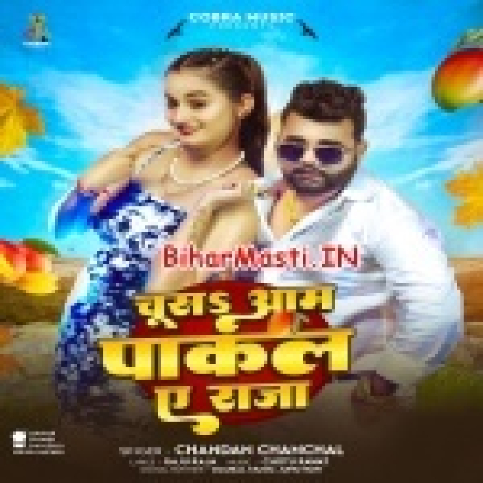 Dhara Hayi Chusa Aam Pakal Ae Raja