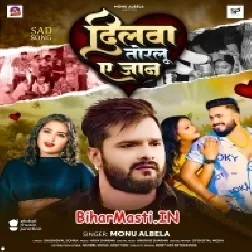 Dilwa Torlu Ae Jaan