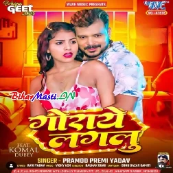 Garami Ae Gori Goraye Lagalu (Hit Matter)