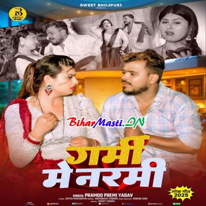 Garami Me Narami Parti Ae Raja Ji (Hit Matter)