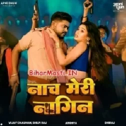 Tu Naach Meri Nagin
