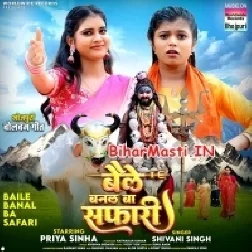 Baile Banal Ba Safari