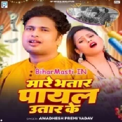 Mare Bhatar Roj Payal Utar Ke