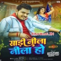 Na Ae Raja Nasa Jani Saari Nila Nila Ho